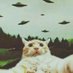torta pounder (@tortasmasher3) Twitter profile photo torta pounder (@tortasmasher3) Twitter profile photo