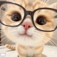 ㄴㅋ (@ychan_0515) 's Twitter Profile Photo ㄴㅋ (@ychan_0515) 's Twitter Profile Photo