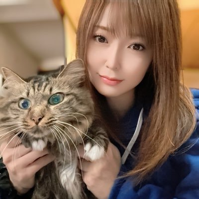 ゆたんさんのプロフィール画像