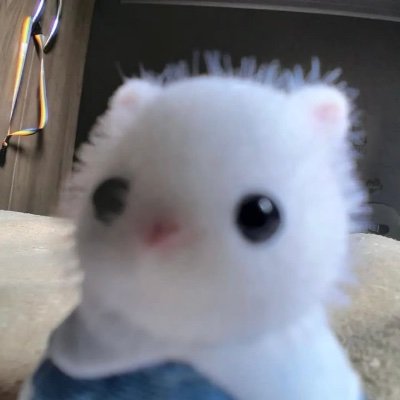 Username8150013's profile picture. She/her