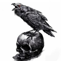 Aquele que é eco do caos (@umbraalex) 's Twitter Profile