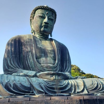 tomofy's profile picture. 