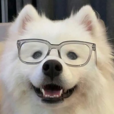 Pageさんのプロフィール画像