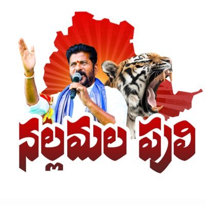 nallamallapuli's profile picture. A wounded Tiger is more Dangerous than a Healthy One🐯