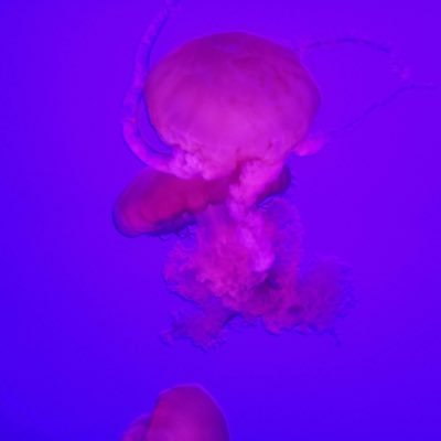 Benjamin1564087's profile picture. $XRP enthusiast ….. Just take it one day at a time