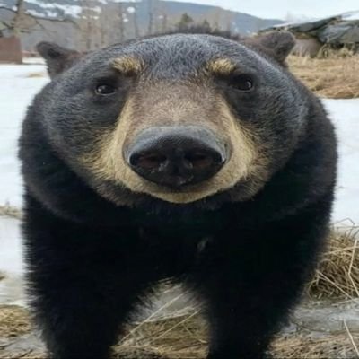 kamek0_0's profile picture. :)