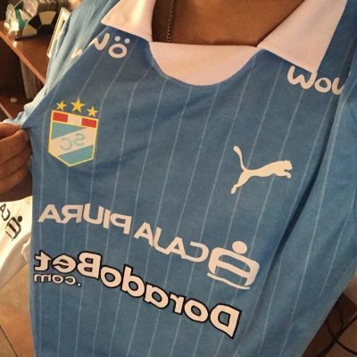 Me dicen SEVEN, Hablar de fútbol es lo único que sé 🦈🚬
°
°
Hincha de SC🩵