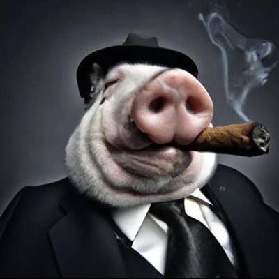 SeconDestron's profile picture. Slá mermão, só seguindo a vida.