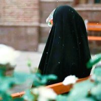 سادات برقعی (@sadatborq) 's Twitter Profile