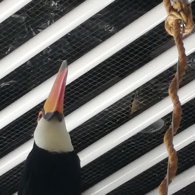 nnaranoo's profile picture. 音楽を聞いたりアニメ漫画、絵を描いたり…好きなものたくさんです👍よろしくどうぞ〜😉