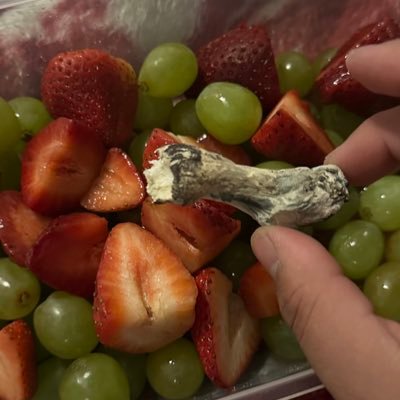 d1rtmuttt's profile picture. 21 • 🏳️‍🌈 🏳️‍⚧️ • weed fanatic • HE/HIM