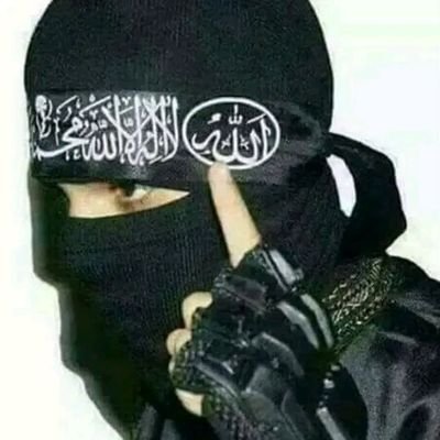 مشوره له بایلونکو څخه واخله تجربه له ګټونکو څخه او ماغزه دی خپله وجنګوه