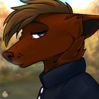 Foxchase (@_foxchase_) 's Twitter Profile