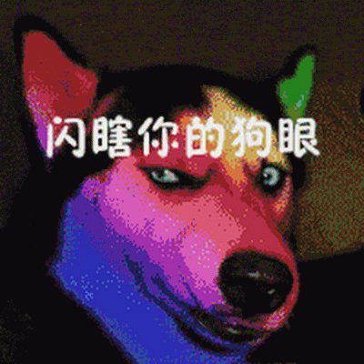 WeiHan32036's profile picture. 