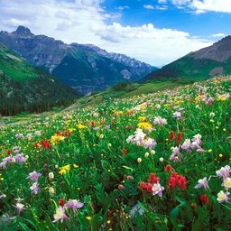 tc_zy7359's profile picture. ส่งรูปมาด้วย🥹 สาวสอง