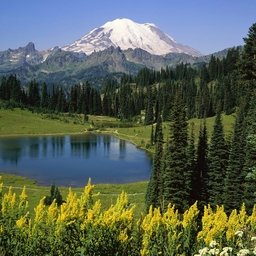 a0mC1Pr6rR9wu7R's profile picture. 