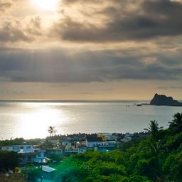 butler_she58289's profile picture. 