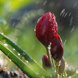 화끈한거 좋아해요? 나크림파이~ 많이 글래머 몸매를 소유한 한명이구요^^ 부담없이 엔조이가 좋구요~