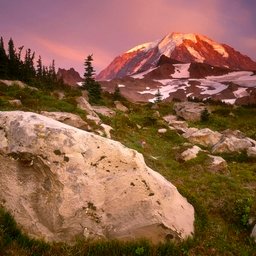 DeboraEvi1440's profile picture. 