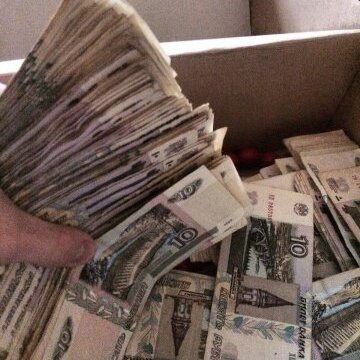 Drozofilamnogo's profile picture. crypt0trencher