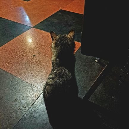 metasina30's profile picture. 