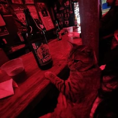 Ramses21131612's profile picture. Discípulo de las ciencias de la fermentación, Sommelier de las muestras nulas de afecto.