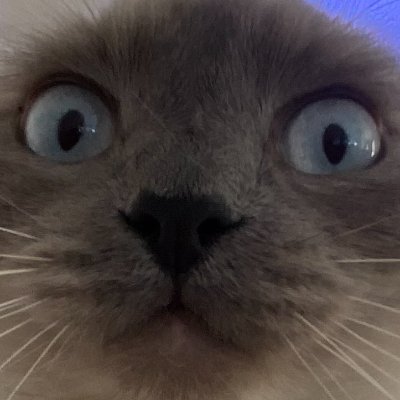 theoutaspacer's profile picture. I like Counter-Strike, Kanye-West, and kittens