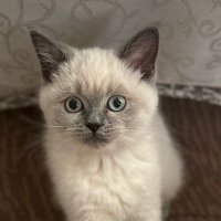 A.s (@asssss555555) Twitter profile photo