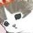 nyan_nxlp
