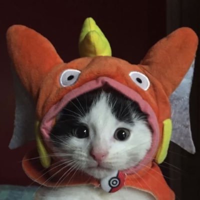INUMATOGE's profile picture. living a lil npc life