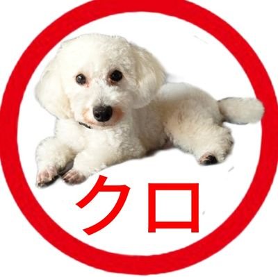 横浜DeNAベイスターズとレバレッジと酒と飯をこよなく愛すオッサン
沖縄とプロレスとボクシングも大好き
元ギャンブル狂 競馬 競艇 スロット 麻雀
#3倍ETF
#レバナス
#日本株
#仮想通貨