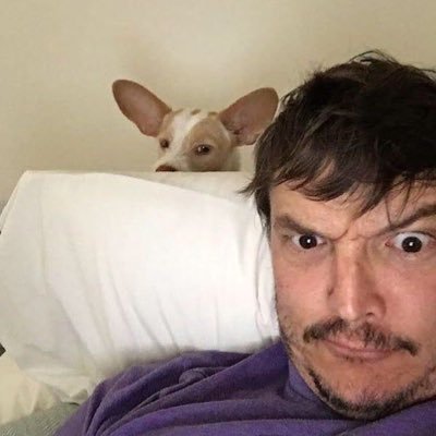 pascal1sm's profile picture. fp | ua