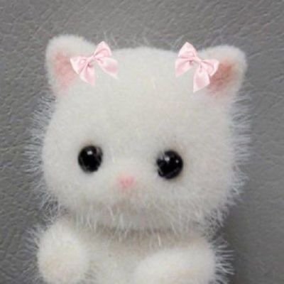 @b1b1mchan