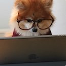 CryptoPulse (@gimuchiyeon) 's Twitter Profile Photo