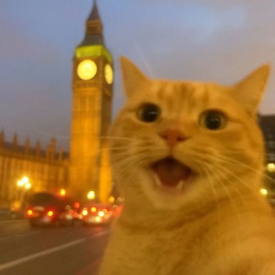 KarlaDavis50901's profile picture. 
