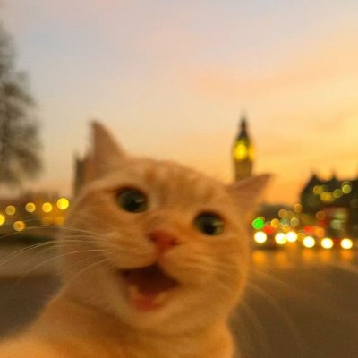 CarlosLich96375's profile picture. 
