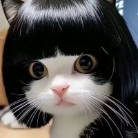 Yüzbaşının Kızı 'Börteçine' (@baspiskolok) 's Twitter Profile Photo Yüzbaşının Kızı 'Börteçine' (@baspiskolok) 's Twitter Profile Photo