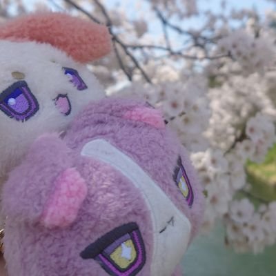 emさんのプロフィール画像