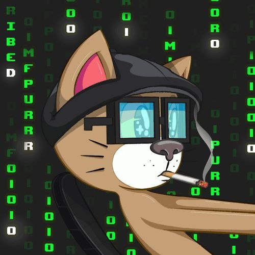 Tech Reviewer| Smart contract security analyst | Poetry aficionado
