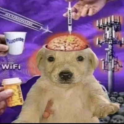 TSUKUYXMIDREAM's profile picture. Monza enjoyer