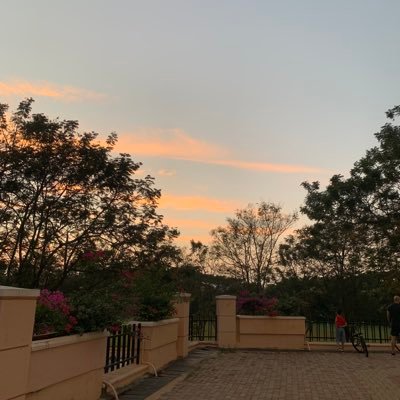 RachnaRkv's profile picture. 