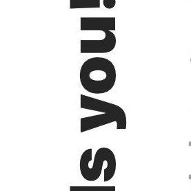 imacaaatt's profile picture. 