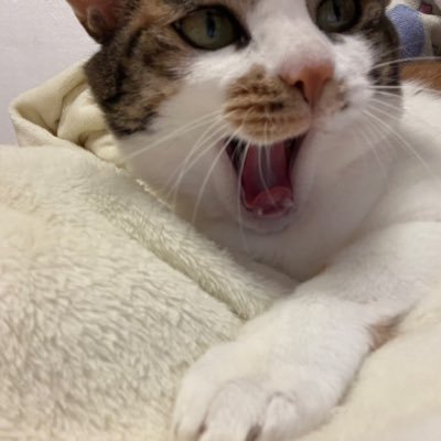 논논さんのプロフィール画像