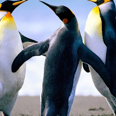 nellywamuy96779's profile picture. 