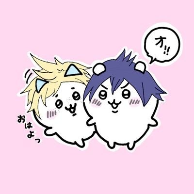 nemoさんのプロフィール画像