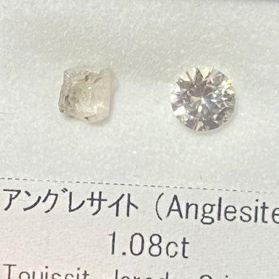 ちゃーしゅーさんのプロフィール画像