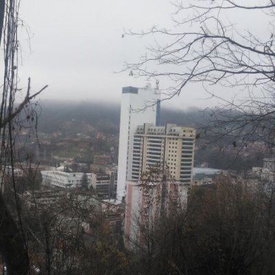 adilmehic159432's profile picture. a