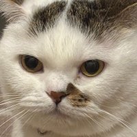 butterr (@butterrson1) 's Twitter Profile Photo