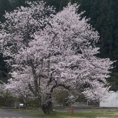 rBCplsb4RL1028's profile picture. 海から国を護ります・・・だって。