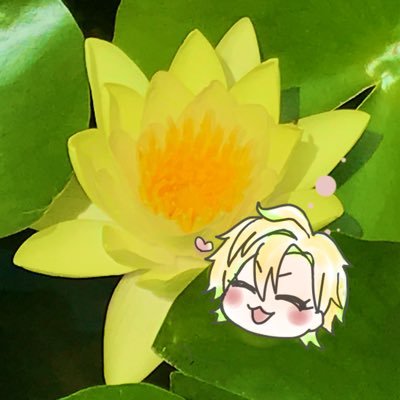 音夜さんのプロフィール画像